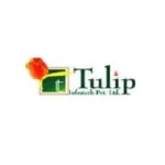 Tulip-Group-Logo-pz9jwbar8kgtsvezppyckzkhr4cqbl3nljsp1nto0g