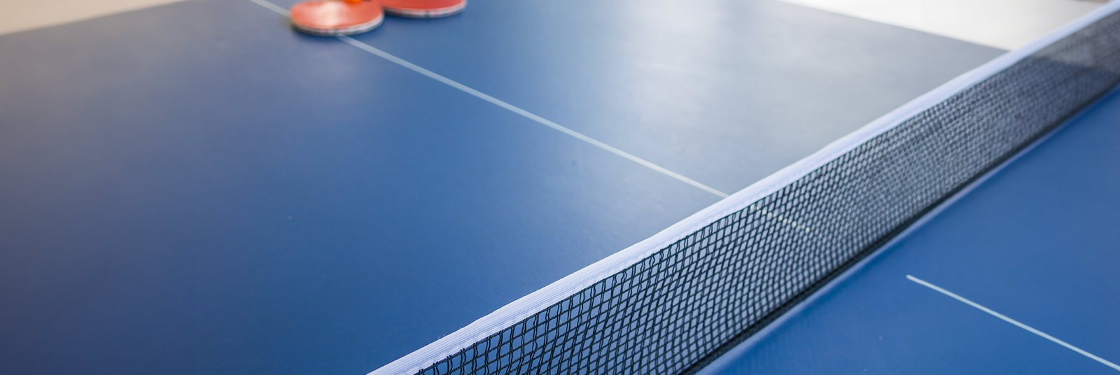 Smartworld Sky Arc Table Tennis