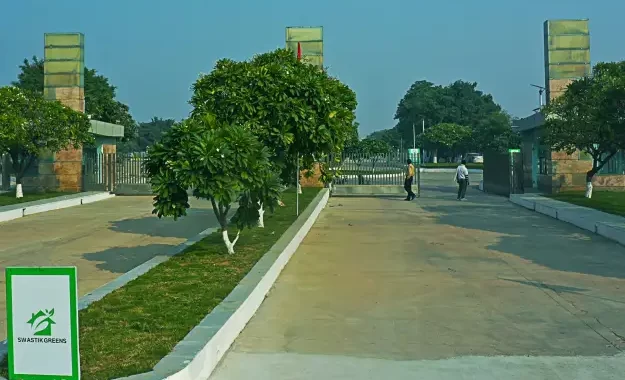 Prominent Swastik Greens