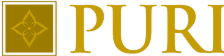 Puri Constructions