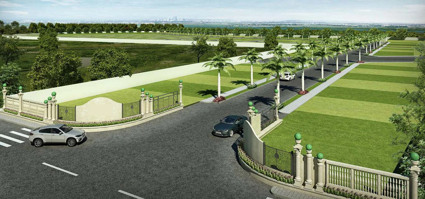 Pareena DDJAY Plots