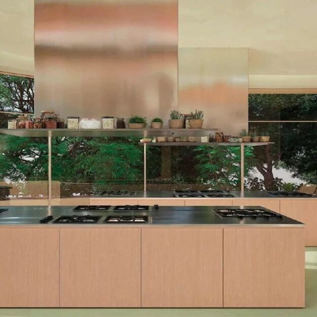 Trehan Iris Omara image 1