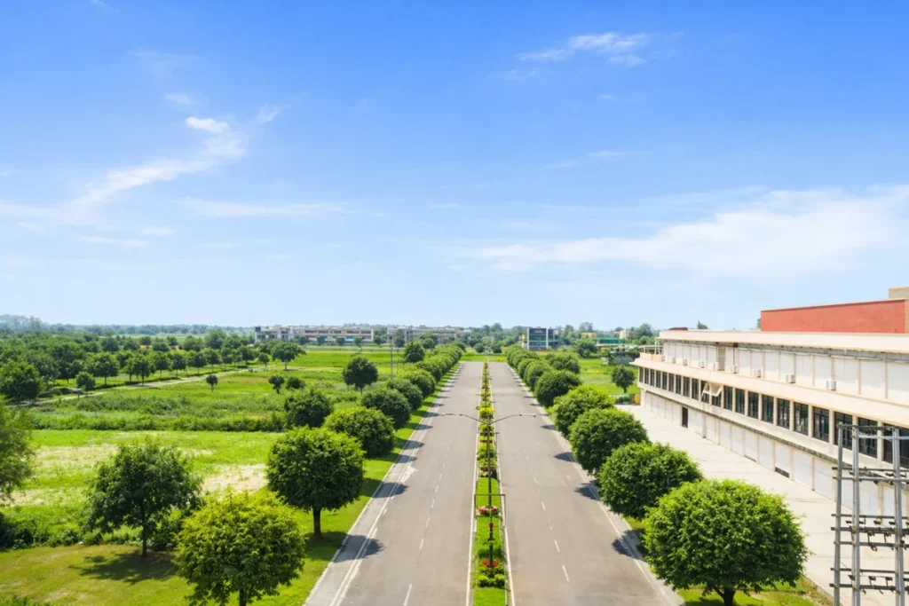 SDJS Royal City Sector 7 Badsa – Premium Residential Plots in a Growing Jhajjar Corridor