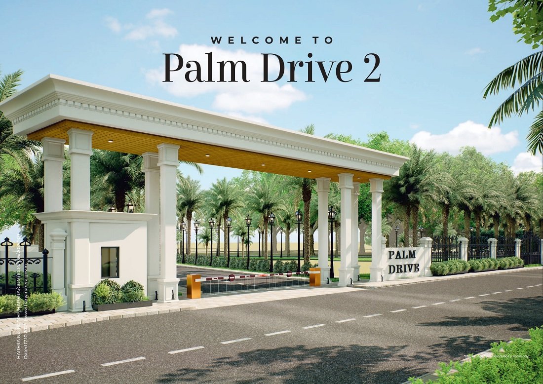 VKS Palm Drive 2